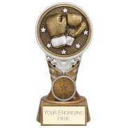 Ikon Tower Boxing Award Antique Silver & Gold 