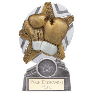 The Stars Boxing Plaque Award Silver & Gold 