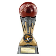 Digital Cricket Award Antique Silver & Gold