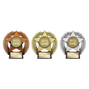 Emperor Star Well Done Plaque Silver