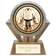 Apex Martial Arts Award Gold & Silver 
