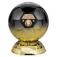 Elite Heavyweight Player of Year Award Carbon Black to Gold