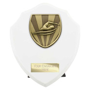 Cobra Shield Swimming Award Arctic White