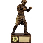 Bronze Boxing Trophy