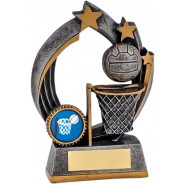 Silver and Gold Netball Star Award