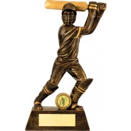 Bronze Cricket Batsman Trophy