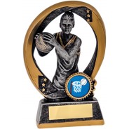 Silver and Gold Netball Trophy