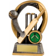 Gunmetal / Gold Cricket Batting Trophy