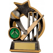 Gunmetal / Gold Cricket Batting Trophy
