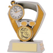 Silver / Gold Swimming Trophy
