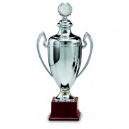 Silver Cup with Lid on Plastic Base