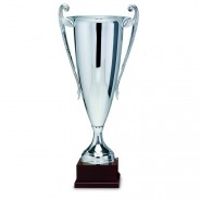 Silver Cup on Wooden Base