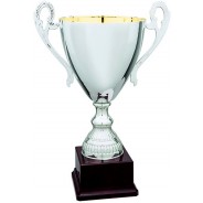 Silver Cup on Plastic Base