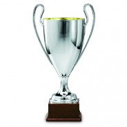 Silver Cup On Plastic Base