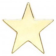Badge Flat Star 