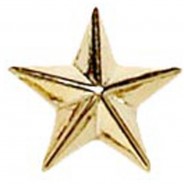 Raised Star Badge