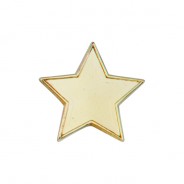 Scholar Pin Badge Star