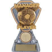 Scorpio Football Manager Player Award
