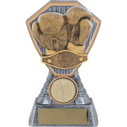 Scorpio Boxing Gloves Award