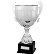 Silver Presentation Cup on Black Base