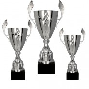Silver Cup with Handles 1st, 2nd, 3rd Set