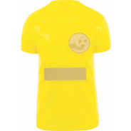 Yellow Nova Kit