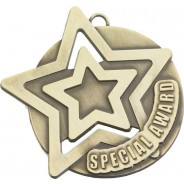 Special Award Star Medal