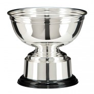 Sienna Silver Plated Cup