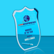 Colour Printed Glass Shield with Metal Pin