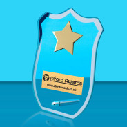Glass Shield and Metal Pin with Star