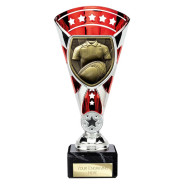 Cobra Star Cup Rugby Shirt & Ball Silver & Red