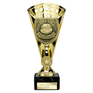 Cobra Star Cup Managers Player Gold