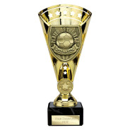 Cobra Star Cup Player of Year Gold