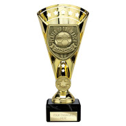 Cobra Star Cup Player of Match Gold