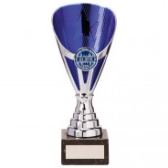 Rising Stars Premium Plastic Trophy Silver & Blue 