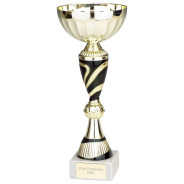 Delta Cup Gold & Black 
