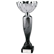 Eruption Silver Cup Platinum & Carbon Black 