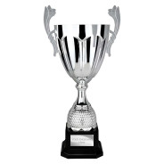 Spartan Cup Silver