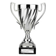 Intrepid Trophy Silver