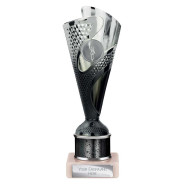 Rodeo Multisport Tube Trophy Silver & Black