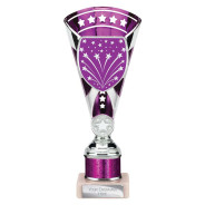 Cobra Star Multisport Tube Trophy Silver & Purple
