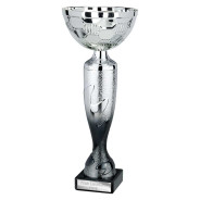 Eruption Silver Cup Platinum & Carbon Black