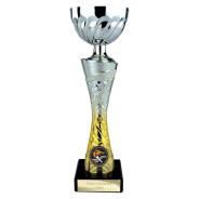 Vigour Trophy Silver & Gold