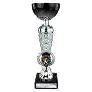 Energy Trophy Black & Silver