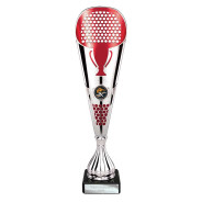 Eclectic Trophy Silver & Red