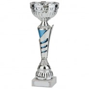 Vanquish Silver & Blue Cup
