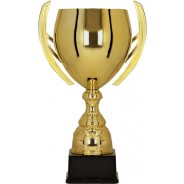 Gold Cup on Black Base