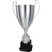 Silver Cup on Black Base