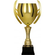Gold Cup on Black Base