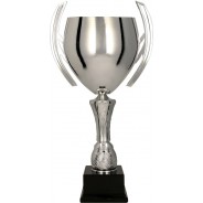 Silver Cup on Black Base